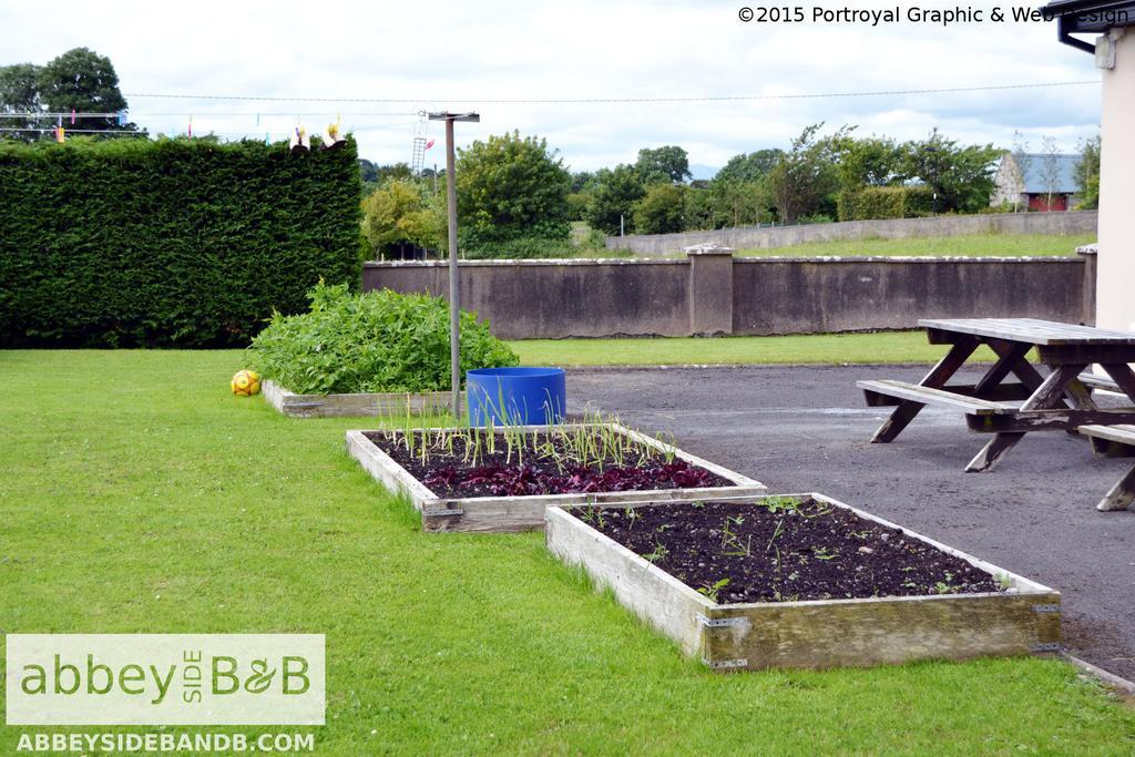 Abbeyside B&B Ballintober  Exterior foto
